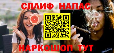 сатива Кингисепп