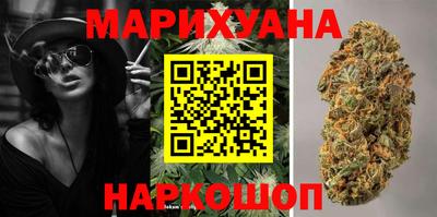 сатива Кингисепп