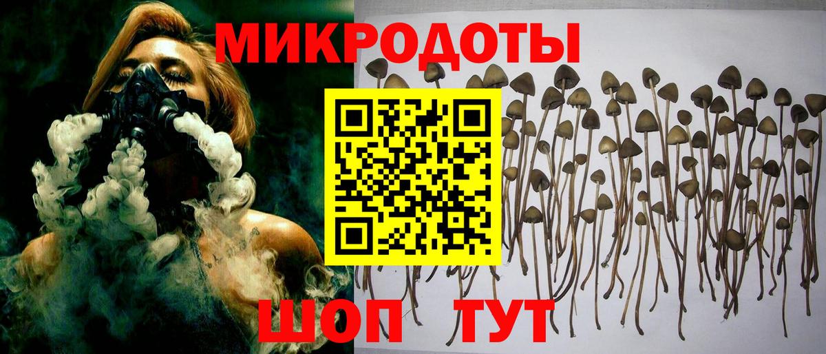 Арсеньев  Галлюциногенные грибы мицелий  Псилоцибиновые грибы прущие грибы  Вход с VPN 