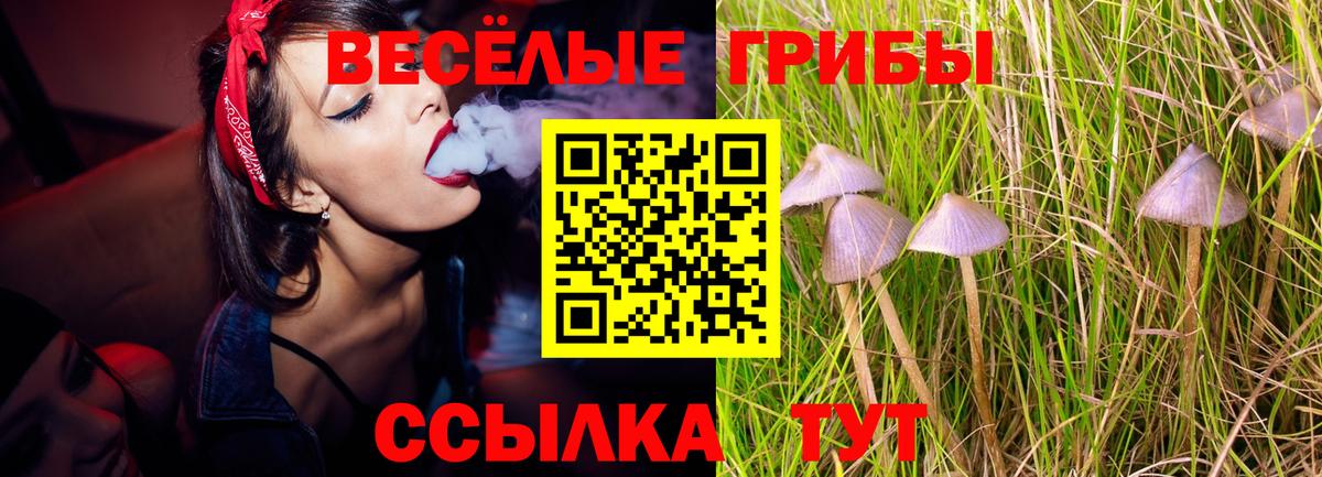 Галлюциногенные грибы мухоморы Арсеньев